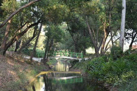 Green reflection of trees in the river with a bridge in between Stock Photos
