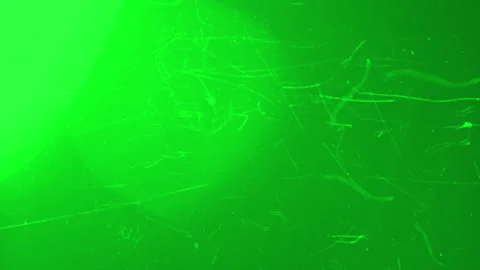 Green Retro Screen Effect with Scratches, Light Leaks, Flicker and Vintage Stock Footage 317710786