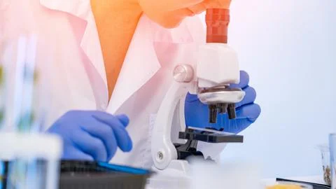 Green revolution under a microscope: macro photography of the process of genetic Stock Photos