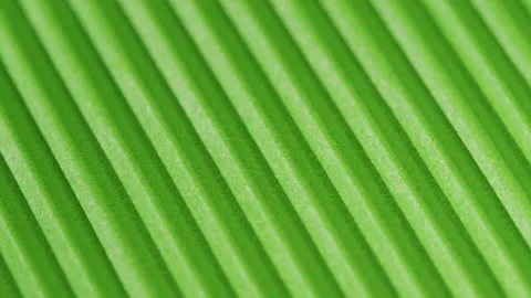 Green ribbed paper close-up. Macro shooting of cardboard textured background Stock Footage 169237064