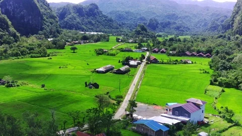 Green rice field drone video 4 Stock Footage 190185487