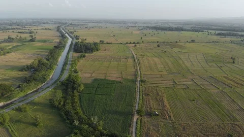 Green rice field Video stock 90155825