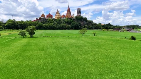 Green rice field foreground with Wat Tham Suea temple aerial push in shot Vidéo 339091372