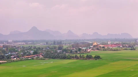 Green rice fields and and mountains in foreground. Beautiful tropical nature of Vidéo 309439865
