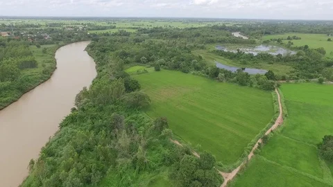 Green rice fields in Asians from Drone's point of view 動画素材 125625204