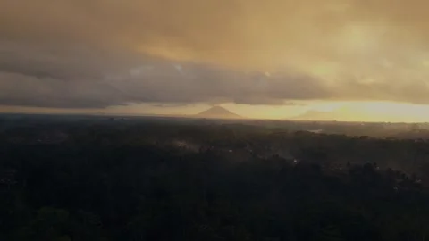 Green rice fields in Bali at sunset  Vidéo 288739922