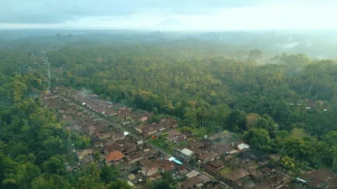 Green rice fields in Bali at sunset  Vidéo 288739964