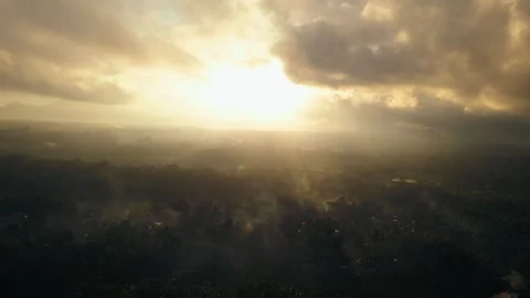 Green rice fields in Bali at sunset  Vidéo 288740523