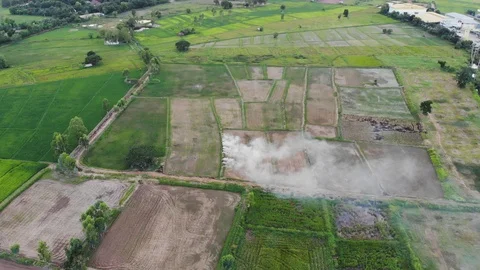 Green rice fields have white smoke coming out of top view video, 스톡 동영상 106506919