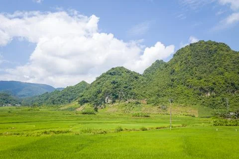 The green rice fields in the middle of forests and karst mountain peaks, in.. Stock Photos