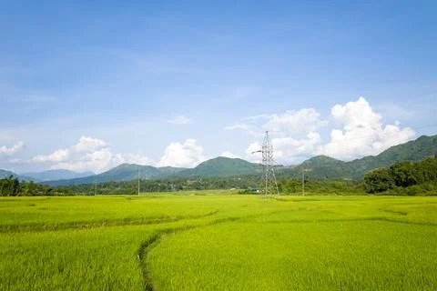 The green rice fields in the middle of forests and karst mountain peaks, in.. Stock Photos