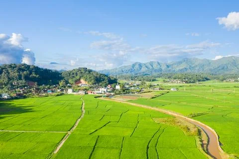 The green rice fields in the middle of the green countryside and mountains,.. Stock Photos