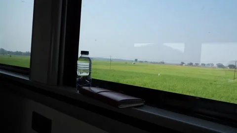 Green Rice Fields Passing Outside Train Window Stock Footage 345341245