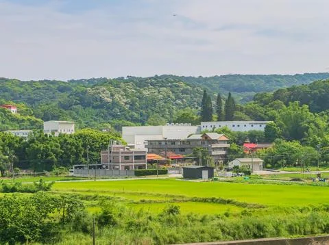 Green rice fields stretch toward industrial buildings and mountains. Stock Photos