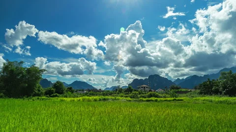 Green rice fields vibrant expanse foreground. Majestic mountains dominate Stock Footage 317442349