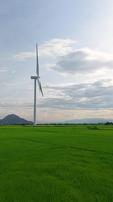 Green rice fields with wind turbines in rural Vietnam Stock Footage 318116460