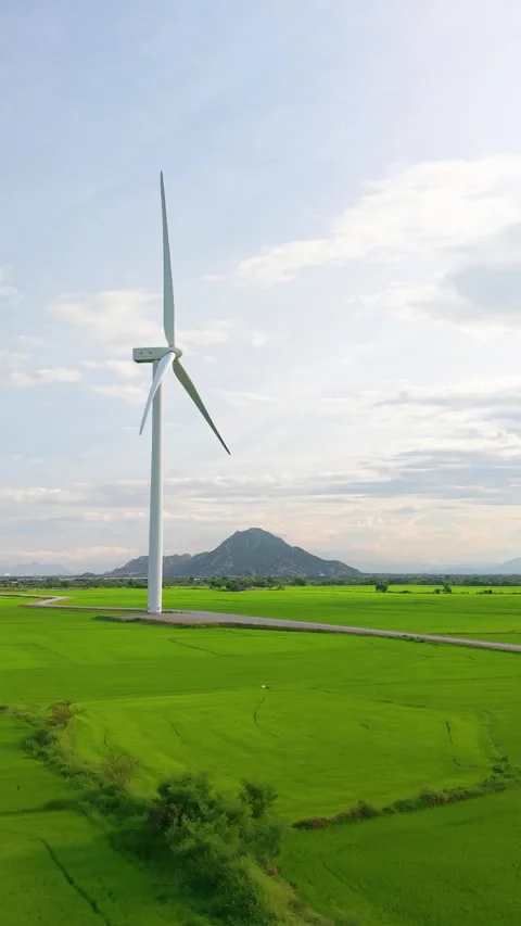 Green rice fields with wind turbines in rural Vietnam Stock-Footage 318116462