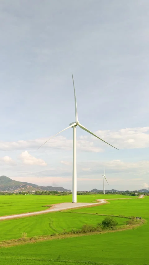 Green rice fields with wind turbines in rural Vietnam Stock Footage 318116475