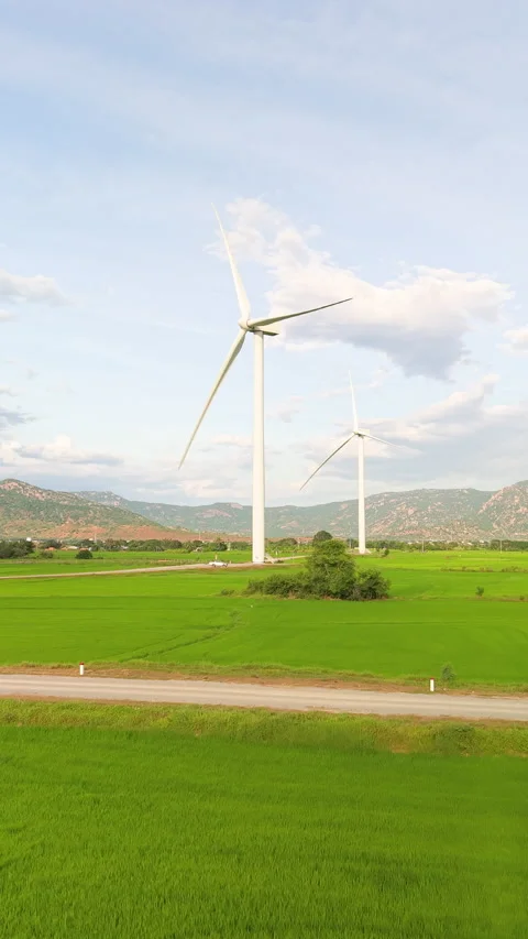 Green rice fields with wind turbines in rural Vietnam Stock Footage 318116491