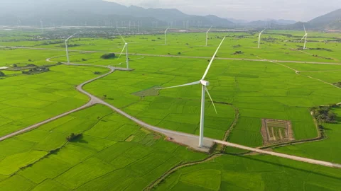 Green rice fields with wind turbines in rural Vietnam Stock Footage 318116579