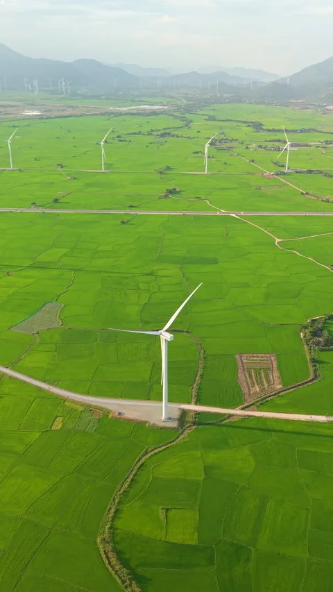 Green rice fields with wind turbines in rural Vietnam Video stock 318116614