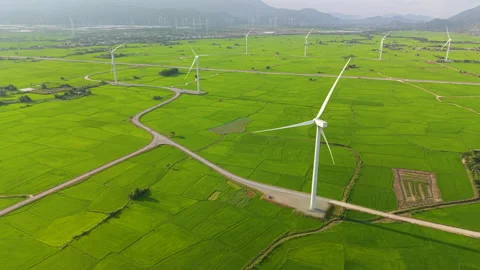 Green rice fields with wind turbines in rural Vietnam Stock Footage 318116637
