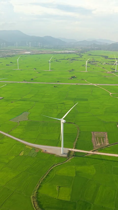 Green rice fields with wind turbines in rural Vietnam Video stock 318116639