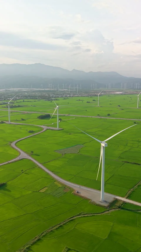 Green rice fields with wind turbines in rural Vietnam Stock-Footage 318116645