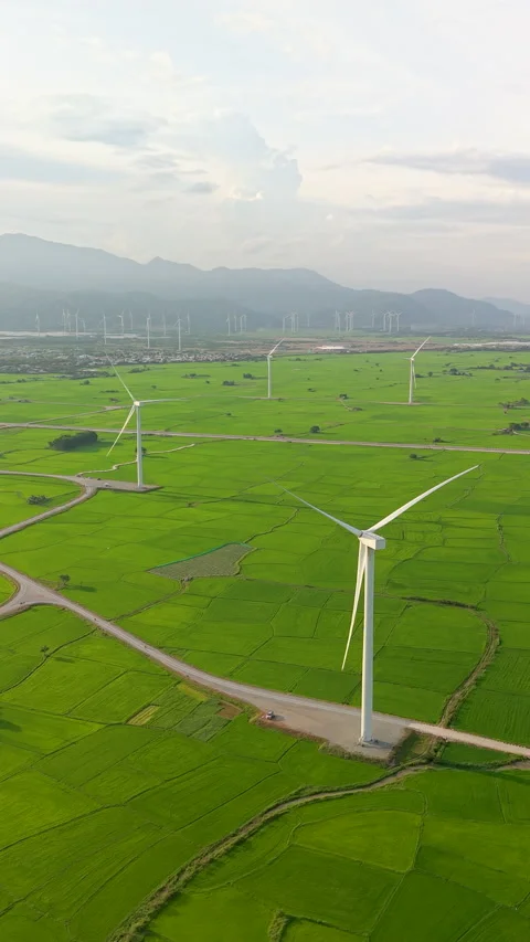 Green rice fields with wind turbines in rural Vietnam Stock Footage 318116649