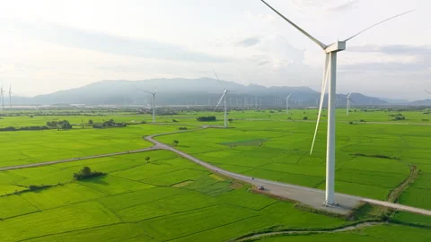 Green rice fields with wind turbines in rural Vietnam Stock Footage 318116684