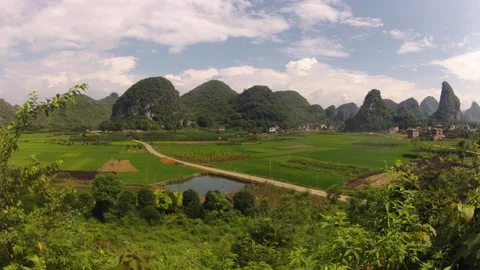 Green rice fields at Yangshuo Stock Footage 88800621