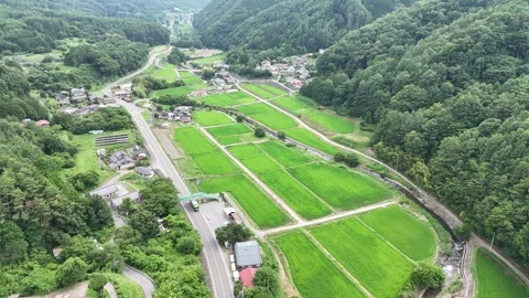 Green rice paddies stretch through a valley Stock Footage 340911011