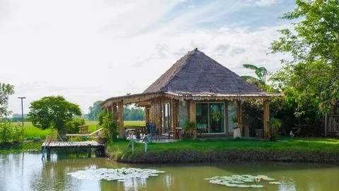 Green rice paddy fields in Central Thailand Suphanburi region Stock Photos