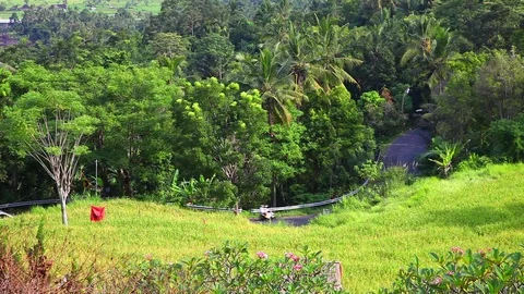 Green rice terraces on the mountain on background tropical nature Stock Footage 77330850