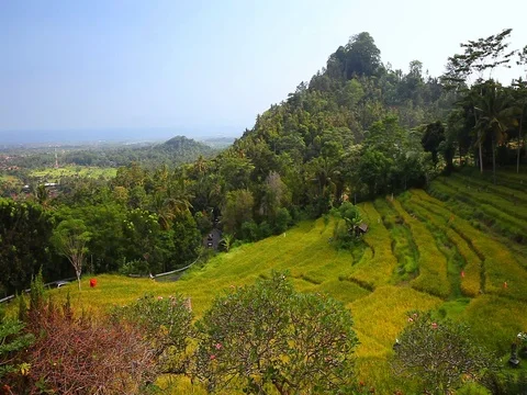 Green rice terraces on the mountain on background tropical nature Stock Footage 77330860
