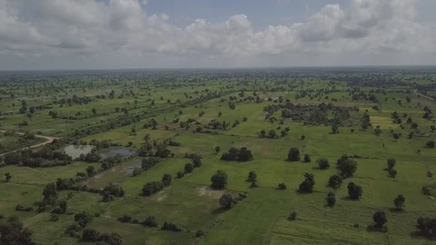 Green rices fields in the middle of Cambodia Stock Footage 124075683