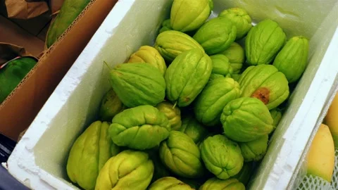 Green ripe mango fruit in styrofoam box on asian market Stockbeeldmateriaal 220038182