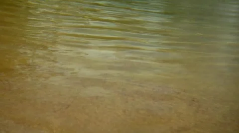 Green Ripples Video stock 490345