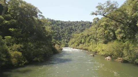 A green river among trees on a sunny day. Drone footage. Stock Footage 332260576