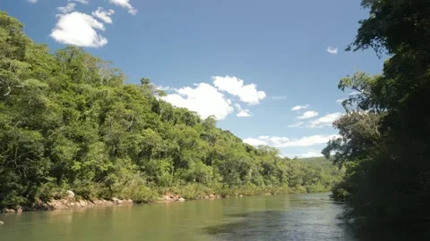 A green river among trees on a sunny day. Close drone footage. Stock Footage 332260577