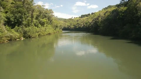 A green river among trees on a sunny day. Drone footage. Stock Footage 332260592