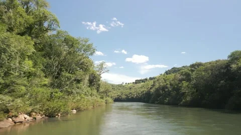 A green river among trees on a sunny day. Drone footage. Stock Footage 332260620