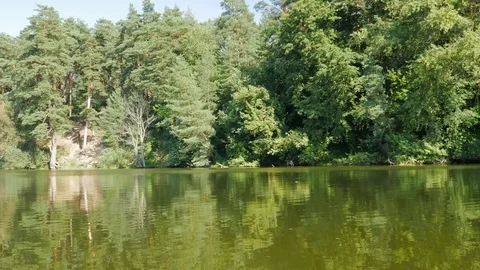 Green river bank Stock Footage 106410825
