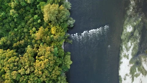 Green river bank Stock Footage 219233716
