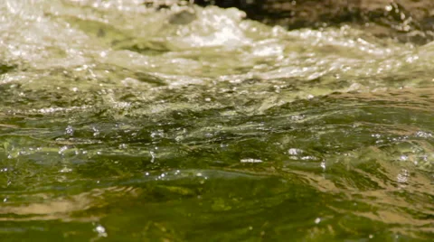 Green river close Stock Footage 57500297