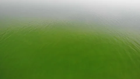 Green river from drone 4K Stock Footage 138467477