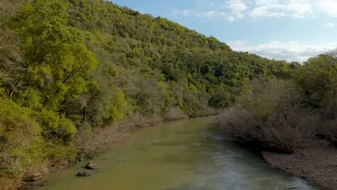 Green river flowing amid trees and rocks. Irani river. Stock Footage 317658098