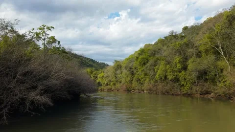 Green river flowing amid trees and rocks. Irani river. Video stock 317658109