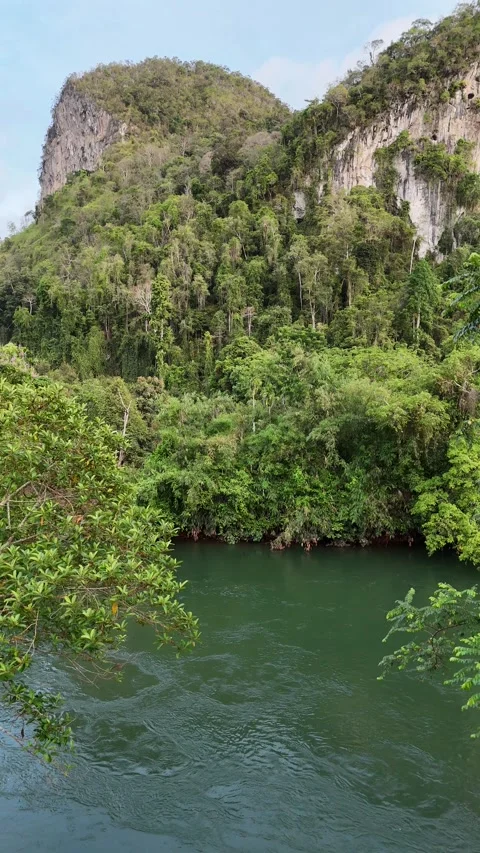 Green River Flowing Through Tropical Rainforest Canyon in Khao Sok, Thailand Stock Footage 335963470