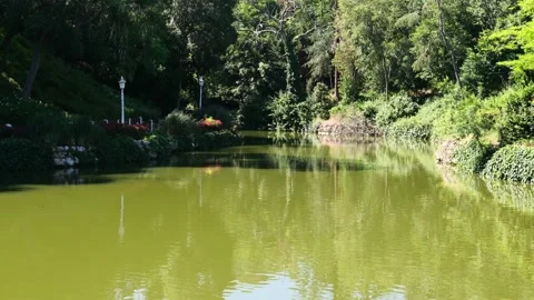 Green River Flowing Through a Vast Lush Park Stock Footage 302717551